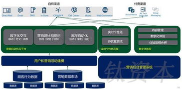 数字文化创意软件开发 中国零售业数字化转型的核心引擎与品类分析