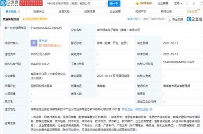 神州租车进军海南，成立电子商务公司聚焦数字文创软件开发